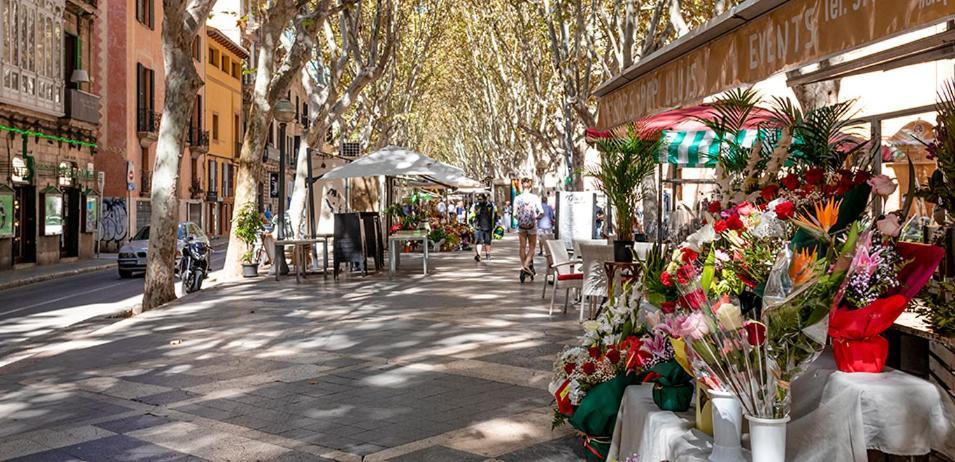 Готель Rambla Palma Center Екстер'єр фото