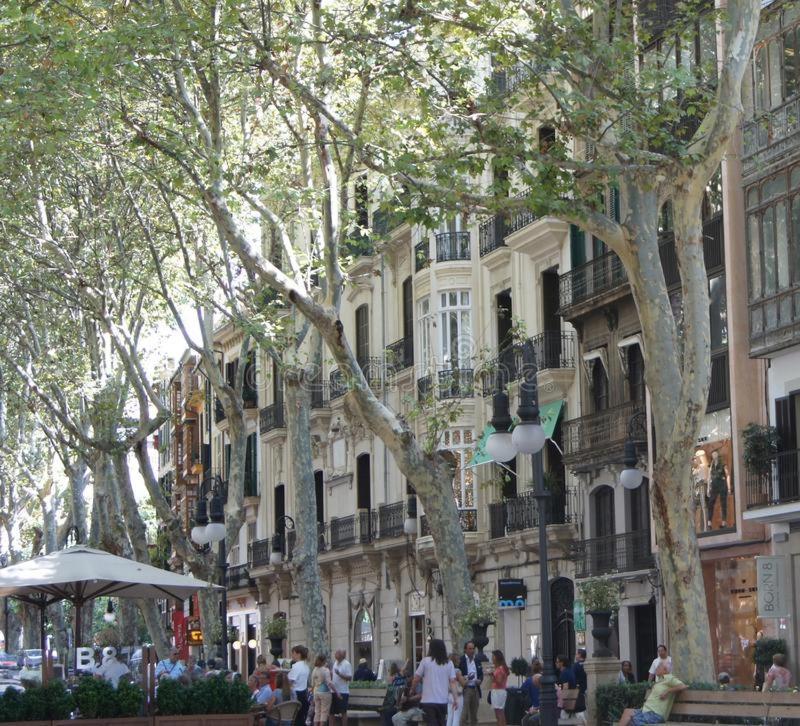 Готель Rambla Palma Center Екстер'єр фото