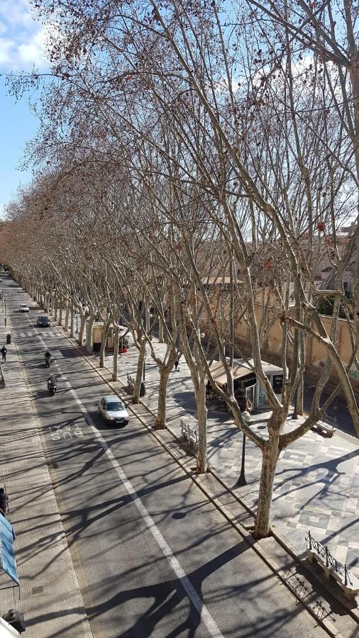 Готель Rambla Palma Center Екстер'єр фото